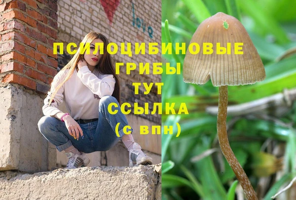МДПВ Абинск