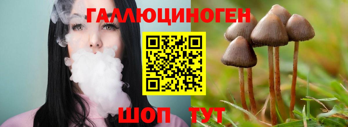 Псилоцибиновые грибы MAGIC MUSHROOMS Дербент