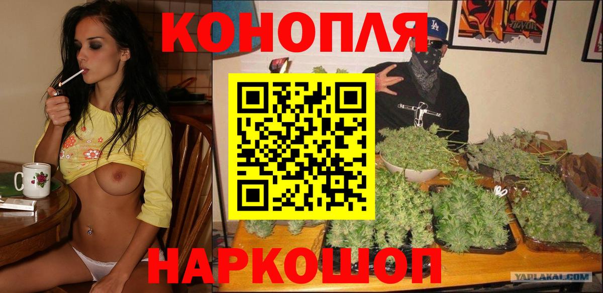 Марихуана планчик Дербент